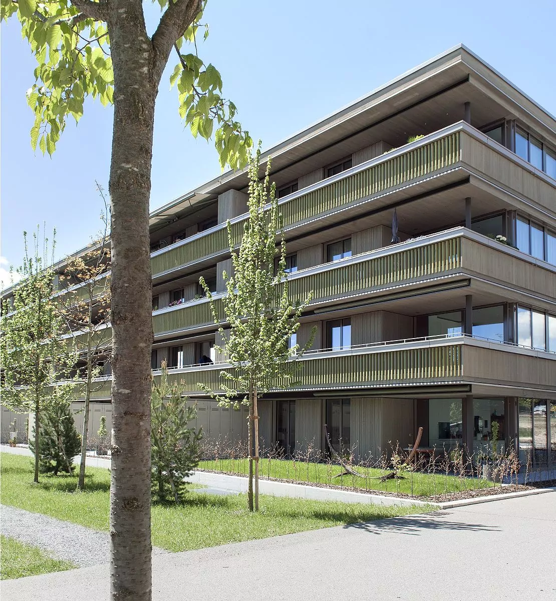 GKS-.-Gartensiedlung-.-Erlen-11