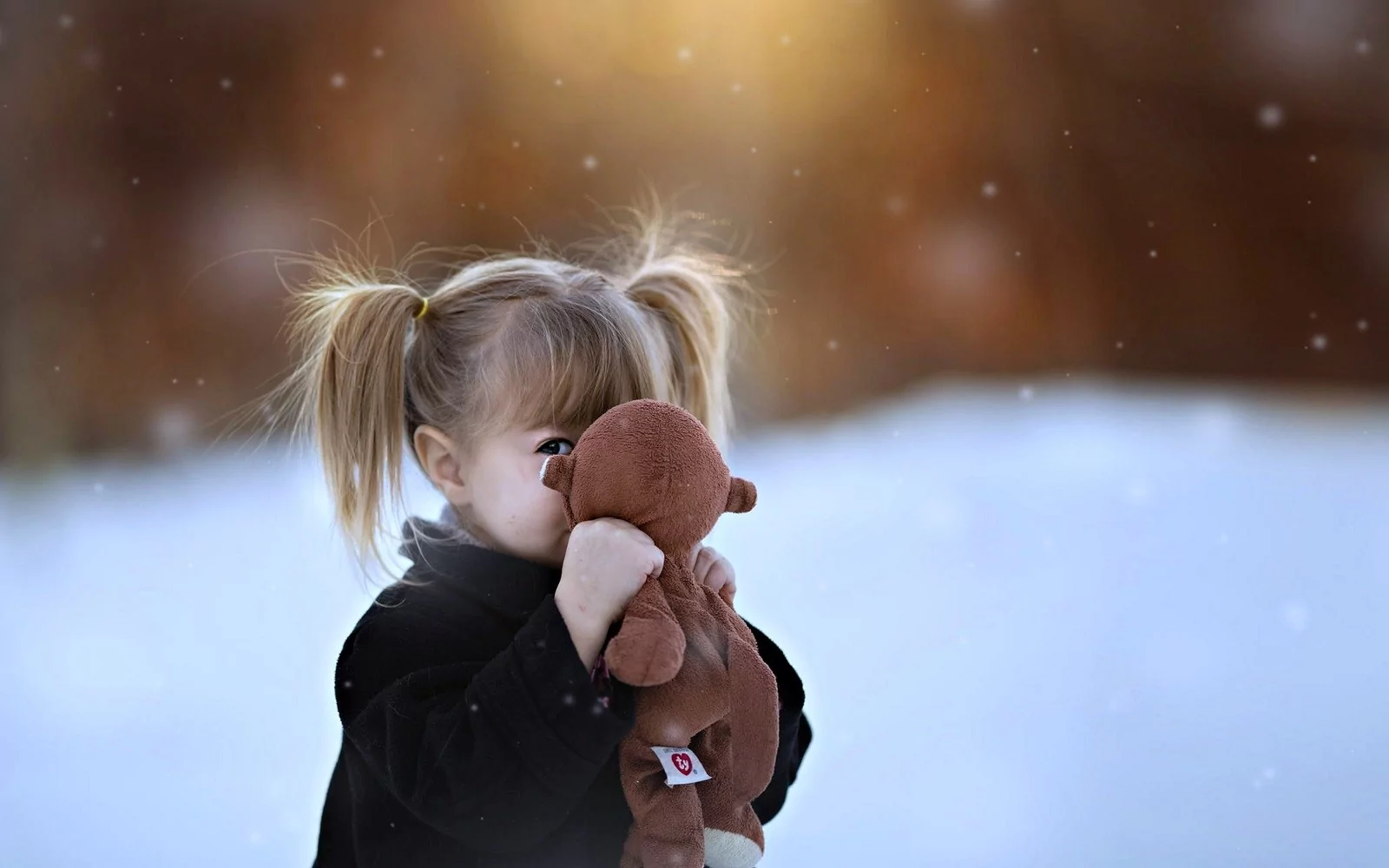 230207_petitesuisse2